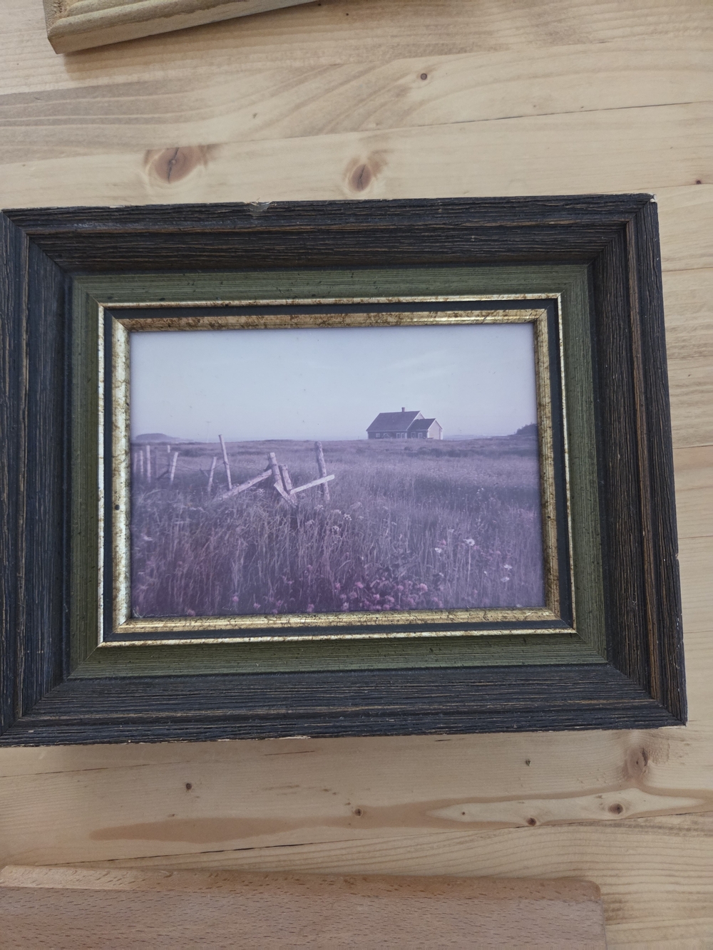 Vintage-Inspired Green and Gold Wood Picture Frame